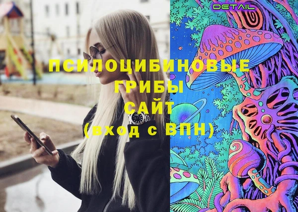 герыч Арсеньев