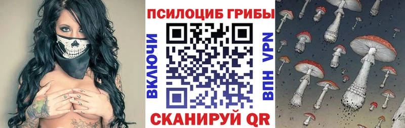 Купить где  Мышкин  Галлюциногенные грибы Psilocybine cubensis 